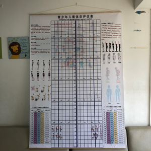 新款儿童体态评估表实拍青少年舞蹈学校运动训练形体姿矫正体测图