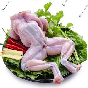 田鸡牛蛙鲜活新鲜半成品石蛙烧烤特大四去青蛙肉免浆牛蛙冷冻商用