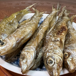 江西特产棍子鱼