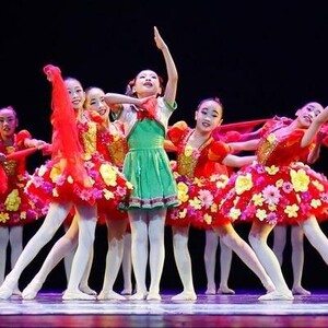 小荷风采花儿那样红儿童演出服女童蓬蓬纱裙表演服亮片舞蹈服红色