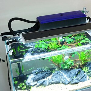 同款货源花深月旗舰店天猫鱼缸里的抽水泵水缸氧气泵养鱼小型水族