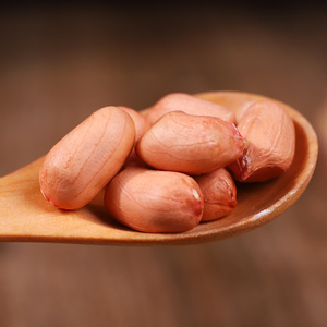 广东白皮花生米农家大粒新鲜四粒红粉红衣花生散装花生仁生的新货