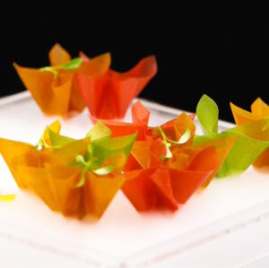 10片/袋凉菜超薄山楂皮烈焰红唇山楂鹅肝酱食材