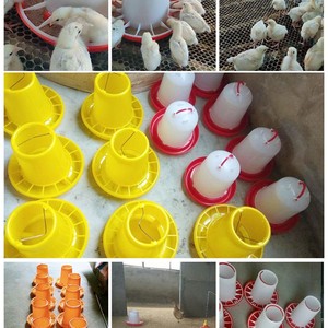 鸡食槽小鸡饲料桶大鸡料桶自动饮水器水壶水桶养t鸡设备用品料槽