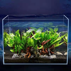 超白玻璃鱼缸客厅小型生态桌面家用水族箱免换水懒人养鱼水草缸