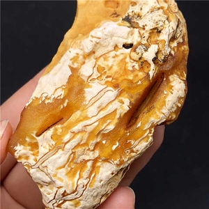 蜜蜡原石原矿毛料全皮大块