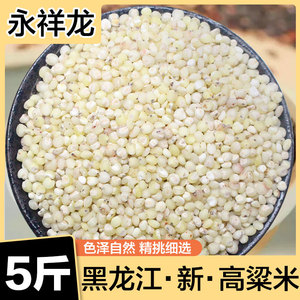 东北白高粱米新米粗粮黏糯五谷杂粮农家自产现磨去皮东北特产5斤