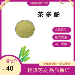 茶多酚 98% 绿茶提取物 食品级原料 工厂直供 量大从优 现货包邮