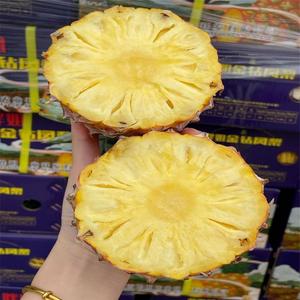 胖姐海南金钻17号凤梨新鲜当季时令水果树上熟黄金菠萝川渝_阿里巴巴