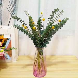 尤加利叶果黄莺黄金球水仙百合鲜花云南斗南配草客厅卧室混搭花束