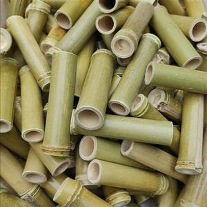 用大蟋具蟀全蛐蛐l中号竹筒外出捉蛐蛐快递打包用蟋蟀用具50个