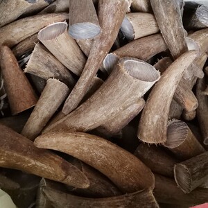 【西牛角】西牛角品牌,价格 - 阿里巴巴