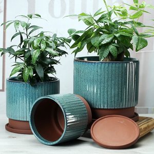 花盆带托盘2021新款新中式陶瓷茉莉花好看的创意组合桌面绿植绿萝