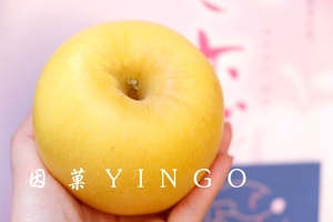 【售罄 明年再见】日本岩手冬恋苹果大logo品种黄色冬之恋糖