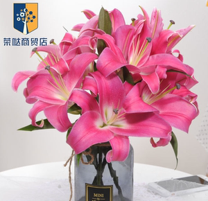 单头百合花