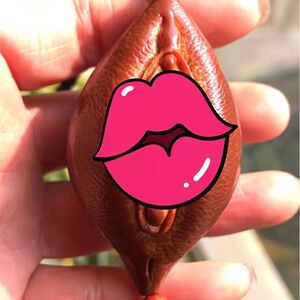 纯手工雕刻橄榄核手办印尼大单籽生命之源女阴单核阴阳调和手把件