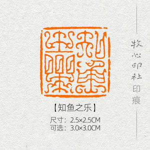 知鱼之乐 鸟虫篆风格印章篆刻成品闲章书画书法压角章yj118