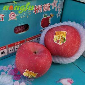 山东栖霞红富士苹果鲜果烟台秋香苹果新 鲜水果整箱包邮红富士苹