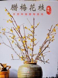 雅致旗舰店天猫春三月舞蹈花枝道具腊梅仿真花干花假花插花花束梅花