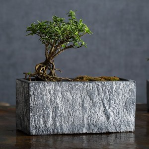 花盆水泥石头花盆