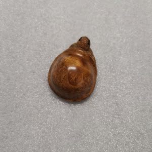 麻梨疙瘩小龟手把件满花老料麻利小摆件把玩将军龟纯手工雕非崖柏