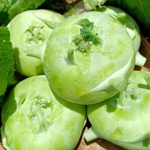 现摘新鲜苤蓝疙瘩9斤当季大头咸菜茄莲球甘蓝球农家脆嫩蔬菜包邮