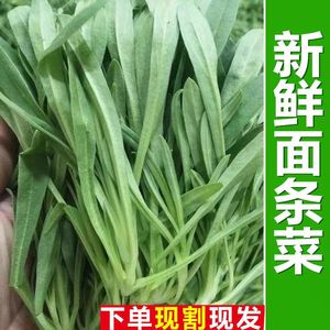 60tb2390325272淘宝新鲜望江南蛇灭门野生羊角菜中草药假决明金豆子
