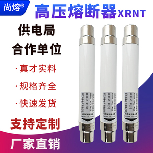 高压熔断器XRNT1-10KV/10A20A40A高压高分断能力限流熔断器保险管