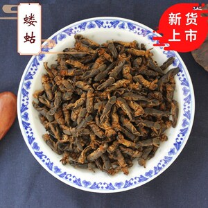 云南特产虫子冰冻蝼蛄400克拉拉蛄地拉蛄土狗美味食用昆虫顺丰