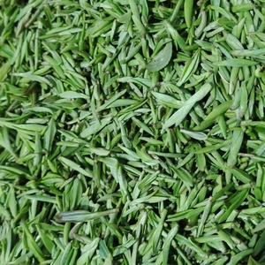 纯手工桐柏山野茶,桐柏玉叶250g