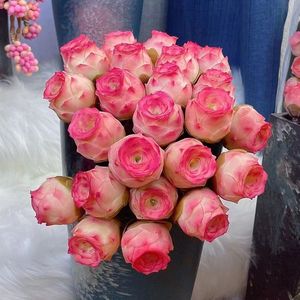 山地玫瑰多肉植物盆栽水蜜桃永不凋谢的玫瑰粉耶罗酒杯玫瑰花卉