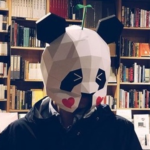 道具歌王专用网蒙面唱将林宥嘉熊猫头套纸模面具儿童活动演唱红