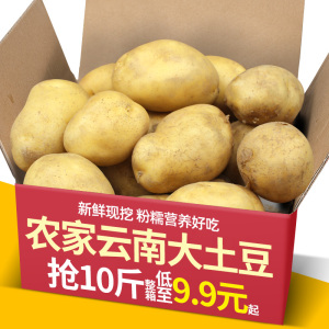 云南红皮小土豆10斤