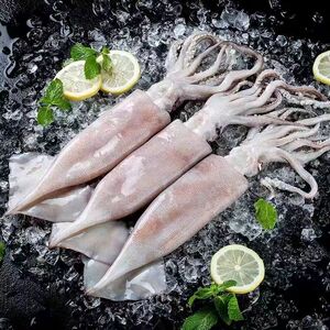 【野生深海鱼】野生深海鱼品牌,价格 - 阿里巴巴