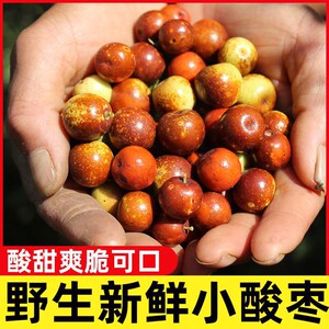 新鲜小酸枣