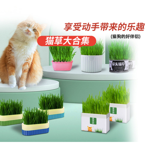 猫草大合集小麦种子籽水培盒盆栽即食去化毛球片猫薄荷零食猫咪