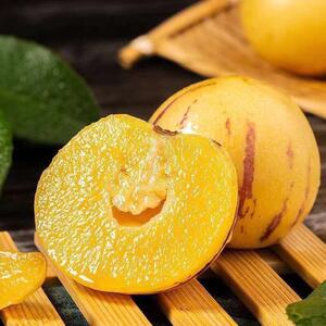 【顺丰】云南石林人参果圆果非小果特级大果当季新鲜孕妇水果10斤