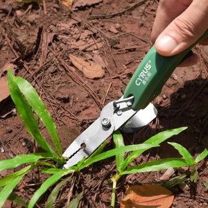 除草神器连根挖蒲公英园艺工具大全拔荠菜药材杂野不锈钢剜铲手动