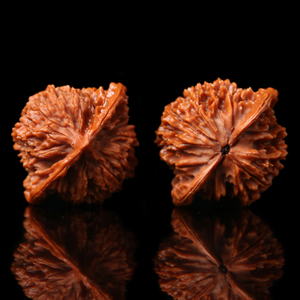 特大红皮选树老核文玩满天星核桃b手把件密核细老把玩狮子头麻纹