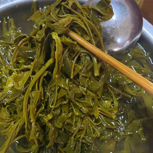 鸡爪菜云南特产傣族帕贡菜帕棍菜树头菜大树腌菜佤族野菜泡菜酸菜