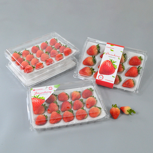 草莓盒一次性高档透明盖泡沫内托防震长方形透气保鲜草莓包装盒