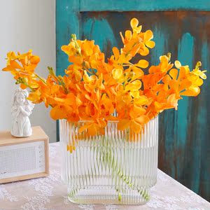 千代兰橘色鲜花洋兰万代兰直批顺丰上海插花婚庆水养鲜切花女神节