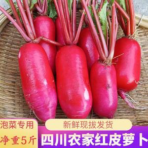 四川红萝卜泡菜水