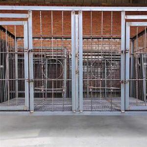 定制狗笼跑笼狗场笼用p专超大笼狗型角钢狗笼钢筋狗笼猛犬笼咬不