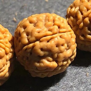 原桩金刚菩提手串爆肉龙鳞纹大草莓菩提子手串五5瓣单圈手链男女