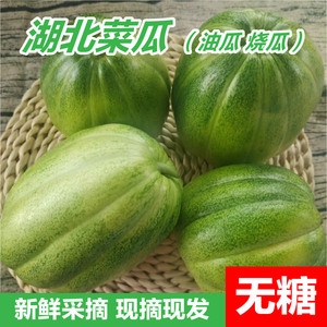 湖北天门新鲜菜瓜油瓜甜瓜低糖孕妇水果生吃酱瓜烧瓜脆甜泡菜
