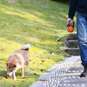 狗狗牵引绳引动伸缩小型泰迪犬狗绳子f牵自带背心遛狗神器用物宠
