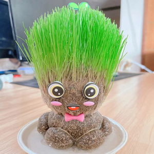 草头娃娃头上长草小人盆栽水培植物好养活长头发绿植儿童观察生长