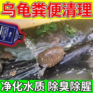 乌龟粪便清理剂龟缸鱼缸消毒除臭分解剂龟粪便一滴净消化活菌药液
