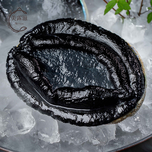 【活黑金鲍】活黑金鲍品牌,价格 - 阿里巴巴